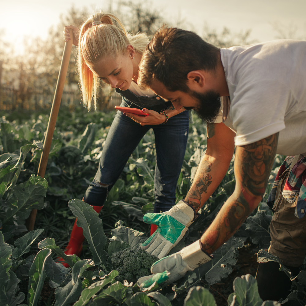 couple farming